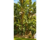 Resale - apartment - El Paraiso