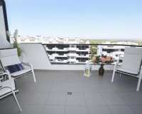 Resale - apartment - Elche - Arenales del Sol