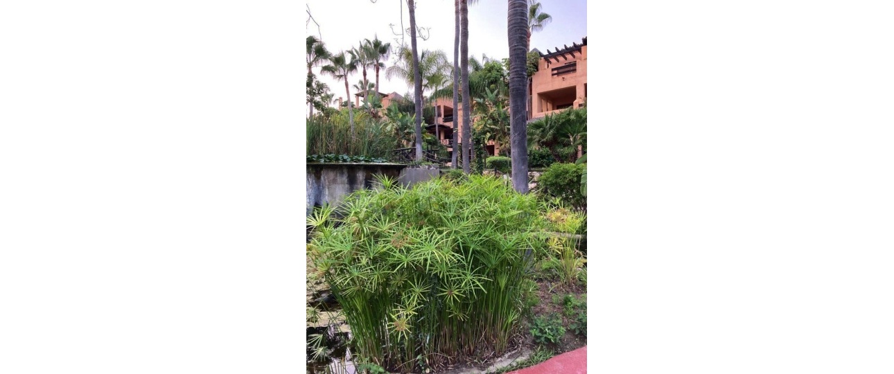 Resale - apartment - Estepona - Atalaya