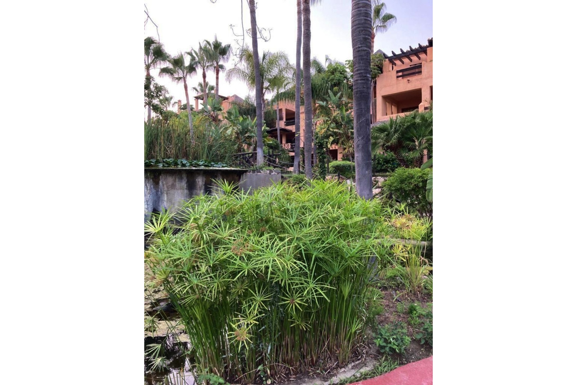 Resale - apartment - Estepona - Atalaya