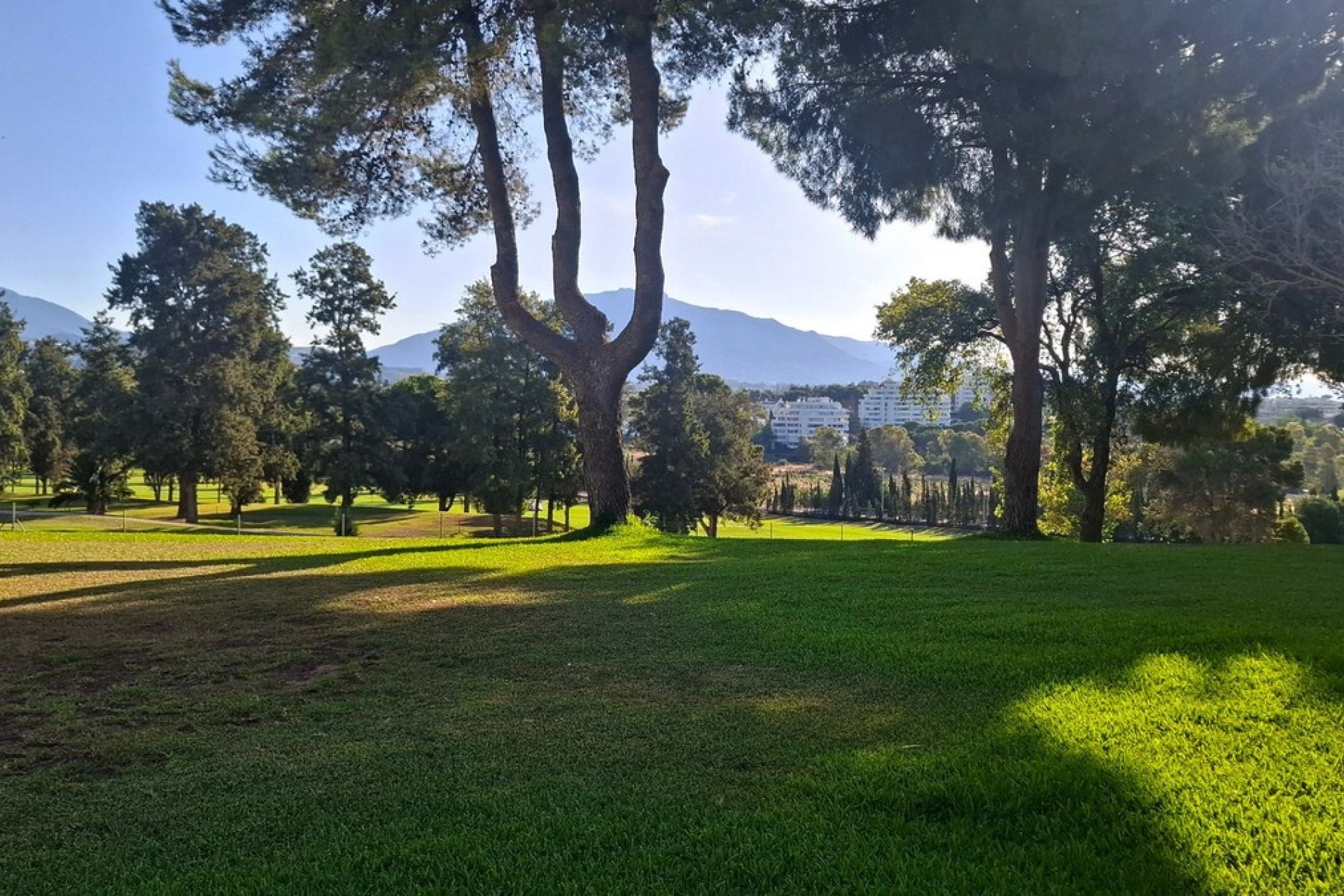 Resale - apartment - Estepona - Atalaya