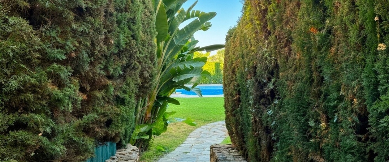 Resale - apartment - Estepona - Bel Air