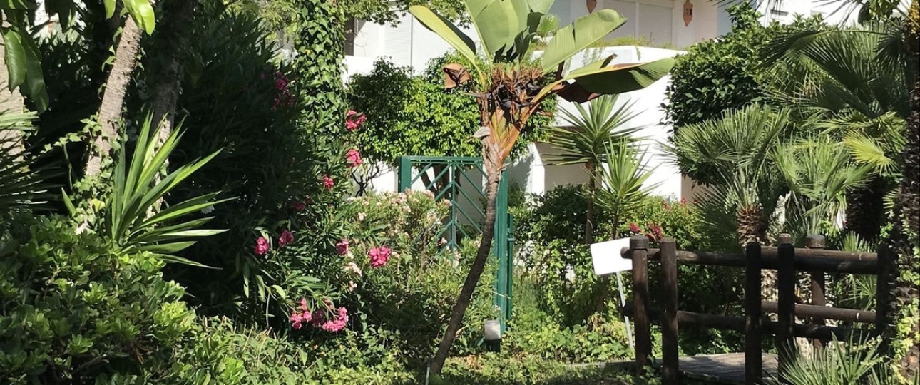 Resale - apartment - Estepona - Costalita