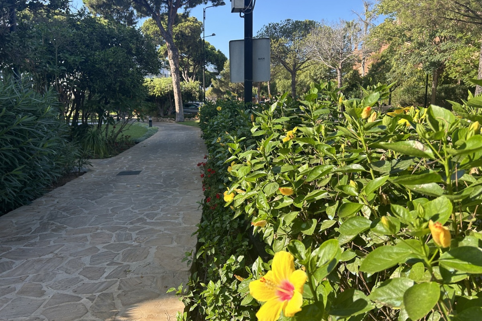 Resale - apartment - Estepona - El Presidente