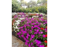 Resale - apartment - Estepona - El Presidente
