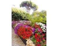 Resale - apartment - Estepona - El Presidente