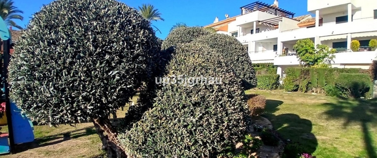 Resale - apartment - Estepona - Estepona Centro