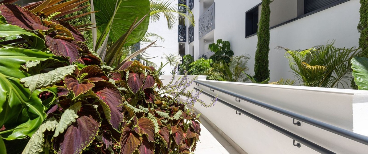 Resale - apartment - Estepona - Estepona Centro