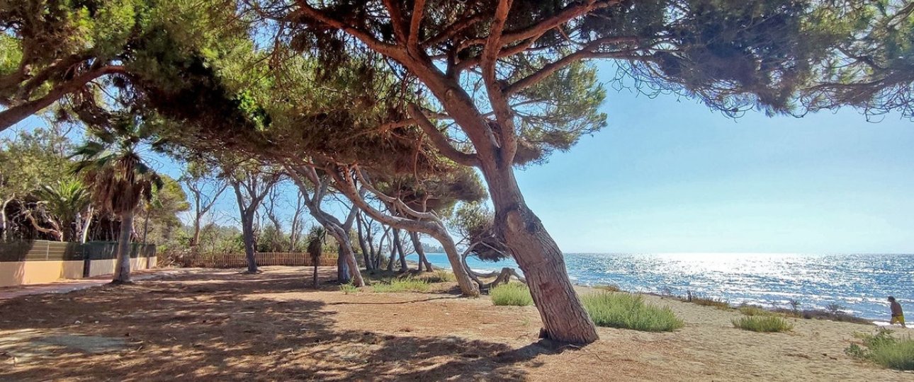 Resale - apartment - Estepona - New Golden Mile