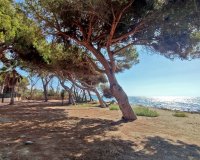 Resale - apartment - Estepona - New Golden Mile