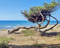 Resale - apartment - Estepona - New Golden Mile