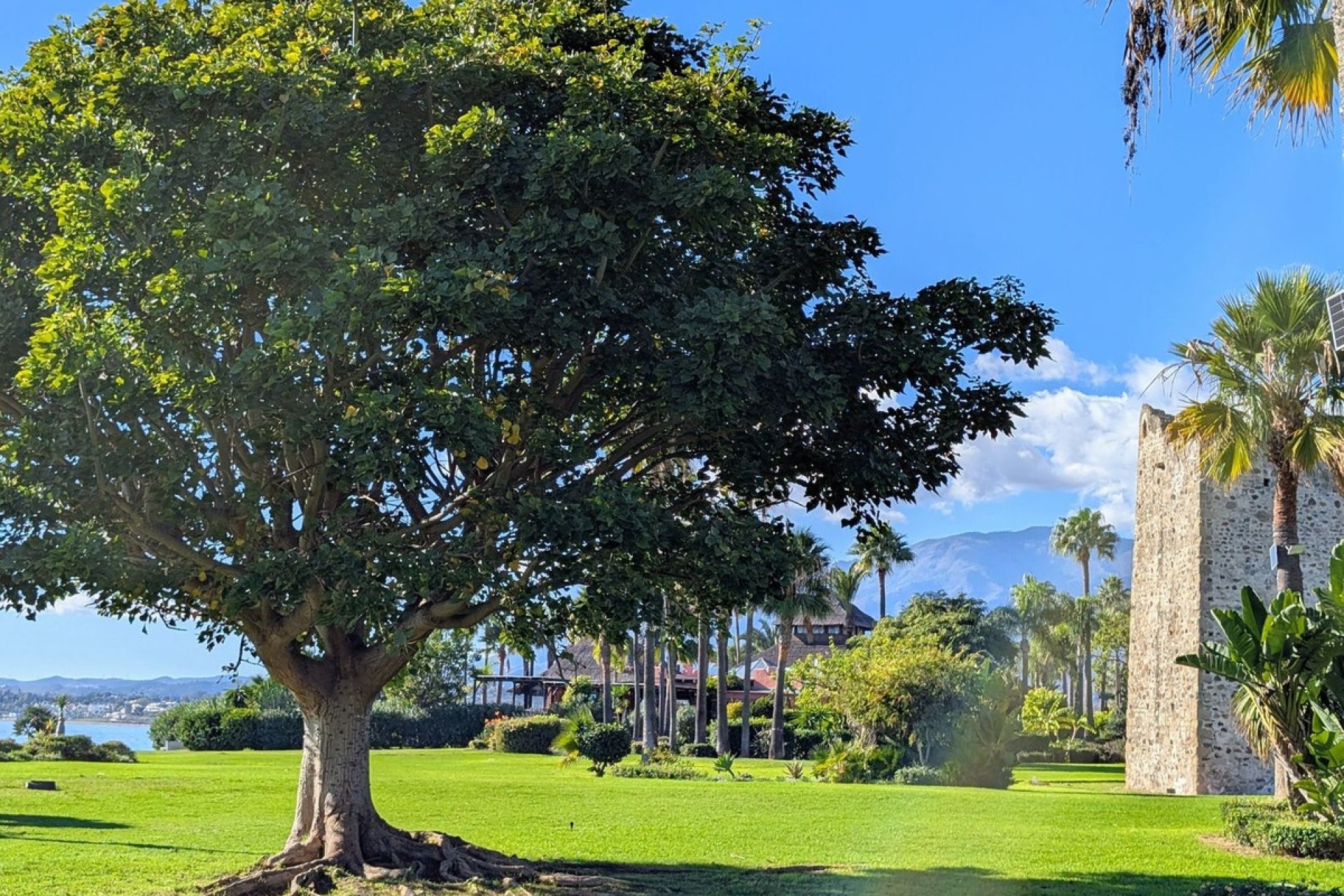 Resale - apartment - Estepona - New Golden Mile