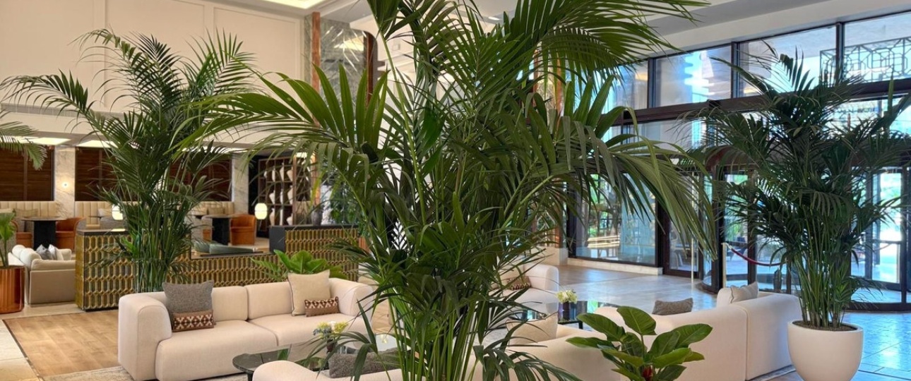 Resale - apartment - Estepona - New Golden Mile
