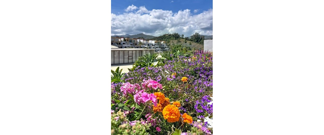 Resale - apartment - Estepona - Selwo