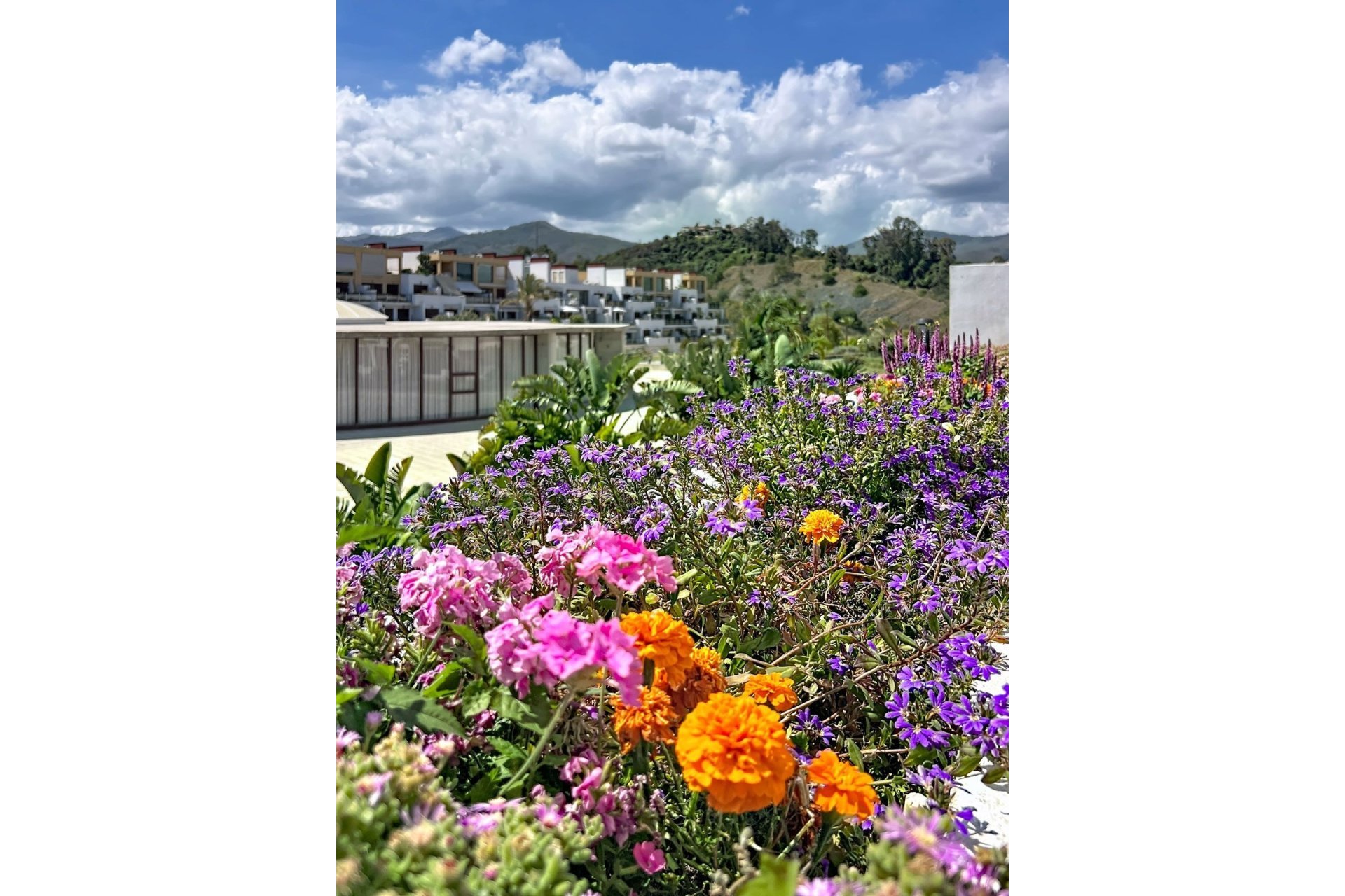 Resale - apartment - Estepona - Selwo