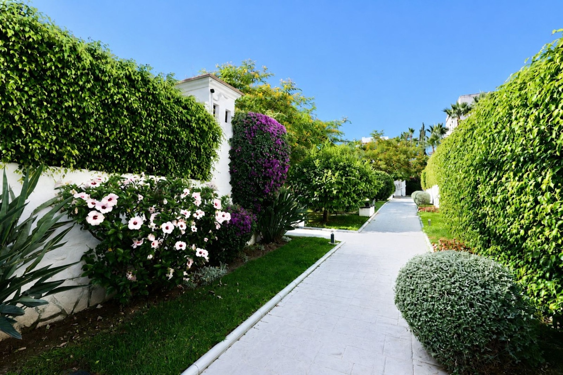 Resale - apartment - Estepona - Selwo