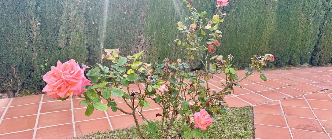 Resale - apartment - Fuengirola - Torreblanca