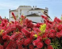 Resale - apartment - Marbella - Elviria