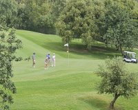 Resale - apartment - Marbella - Guadalmina Alta
