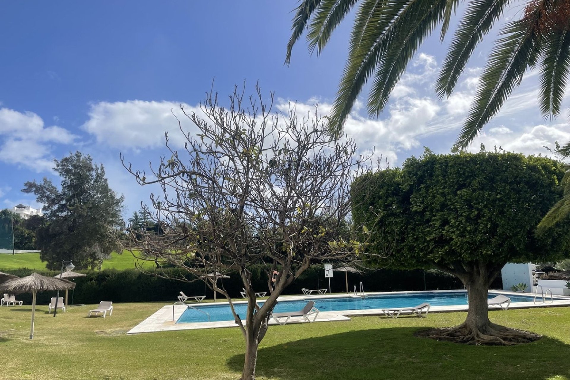 Resale - apartment - Marbella - Guadalmina Alta
