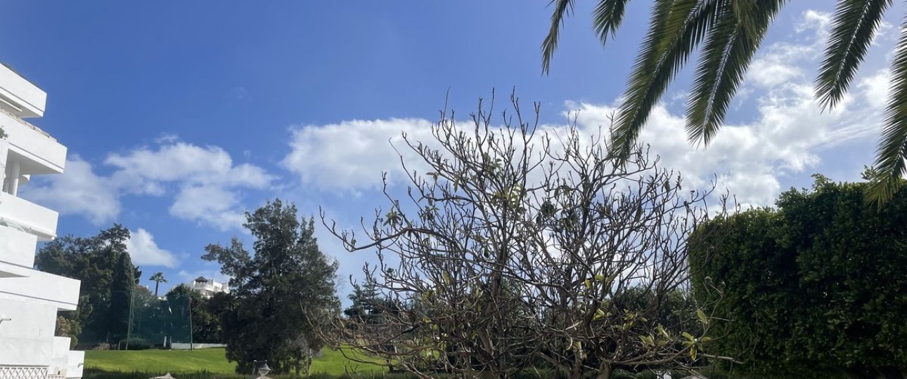 Resale - apartment - Marbella - Guadalmina Alta