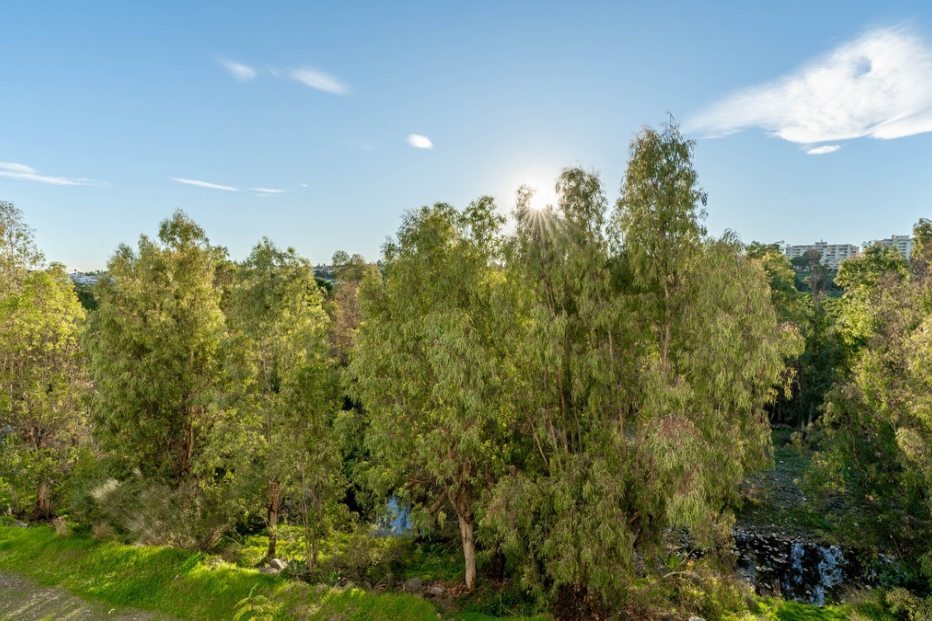 Resale - apartment - Marbella - Guadalmina Alta