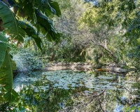 Resale - apartment - Marbella - Guadalmina Baja