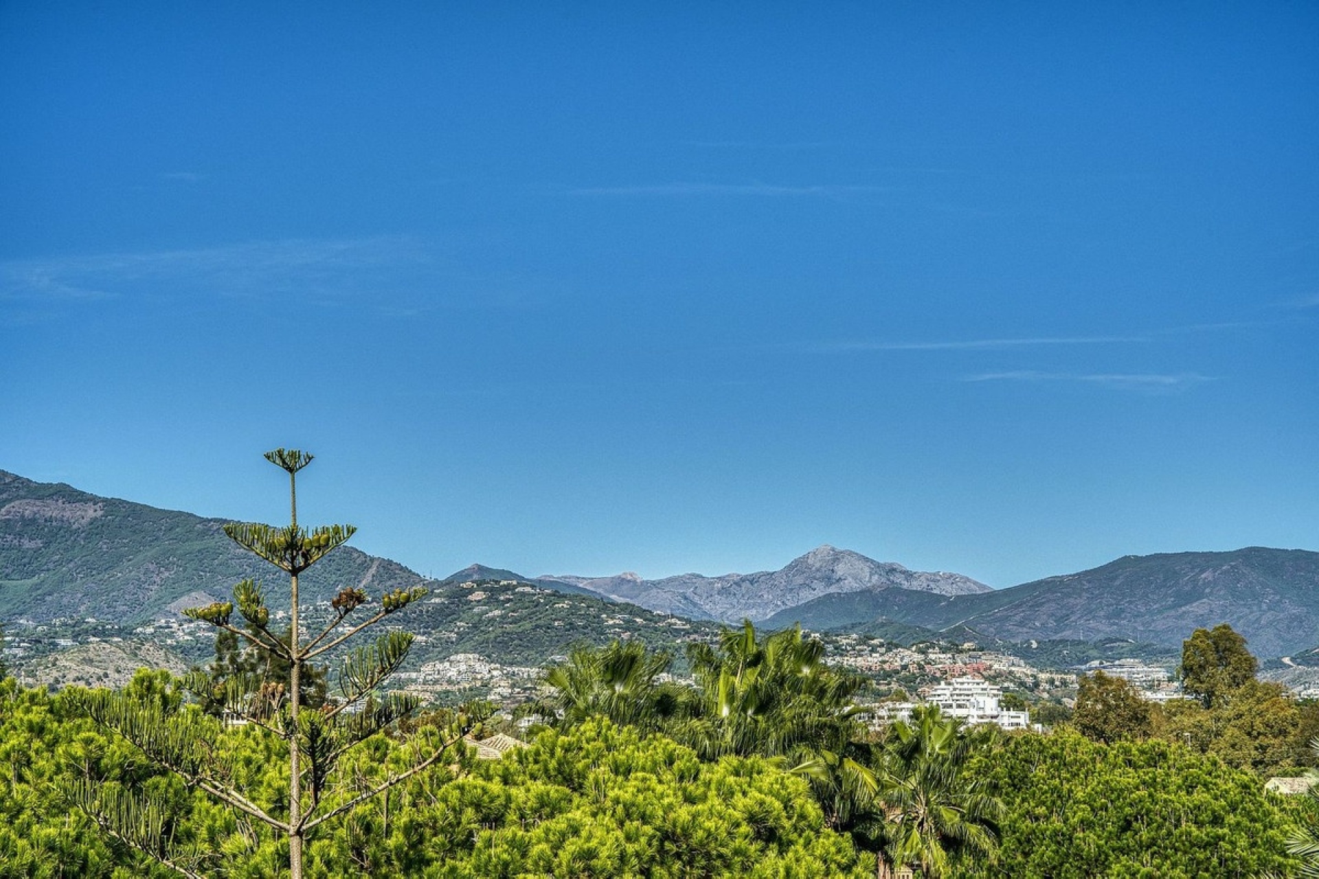 Resale - apartment - Marbella - Guadalmina Baja