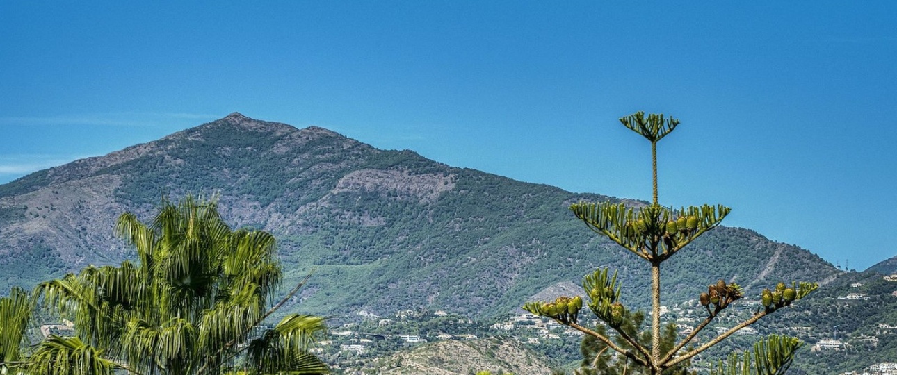Resale - apartment - Marbella - Guadalmina Baja