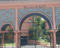 Resale - apartment - Marbella - Guadalmina Baja