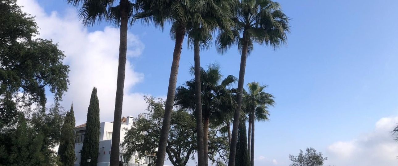 Resale - apartment - Marbella - La Mairena