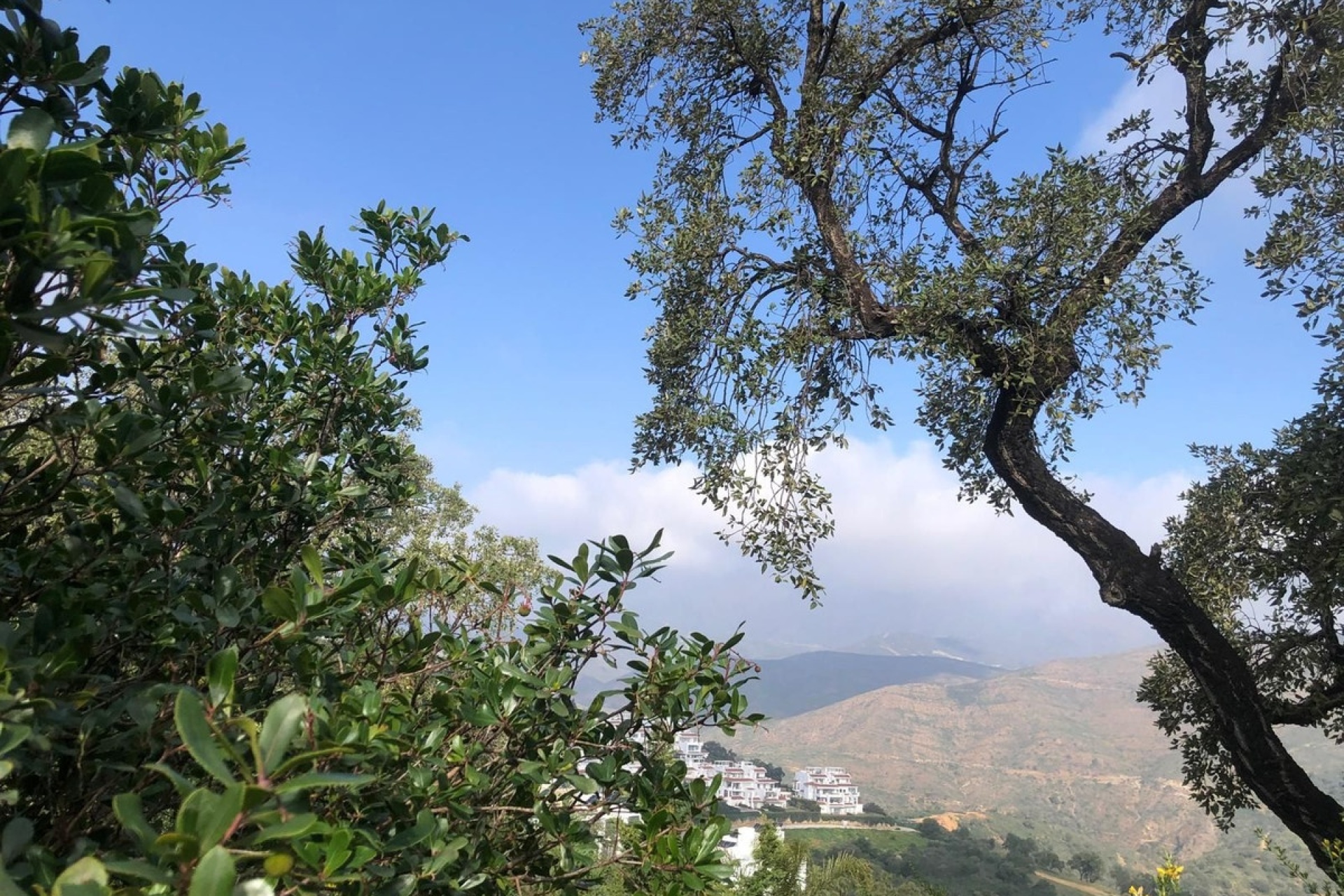 Resale - apartment - Marbella - La Mairena