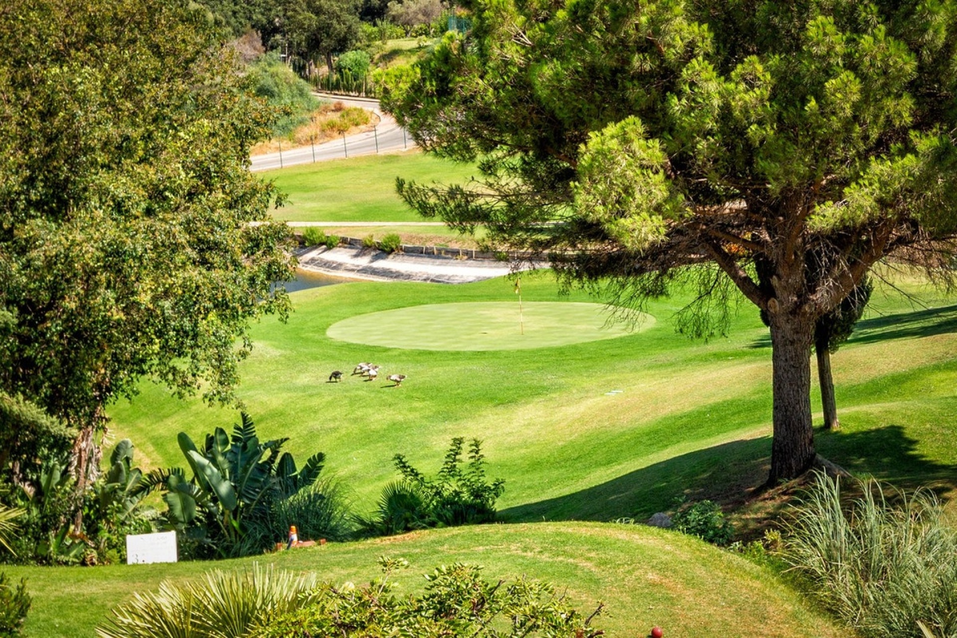 Resale - apartment - Marbella - La Mairena