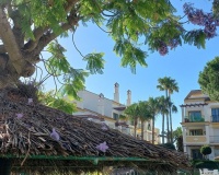 Resale - apartment - Marbella - Marbesa