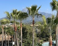 Resale - apartment - Marbella - Nueva Andalucía