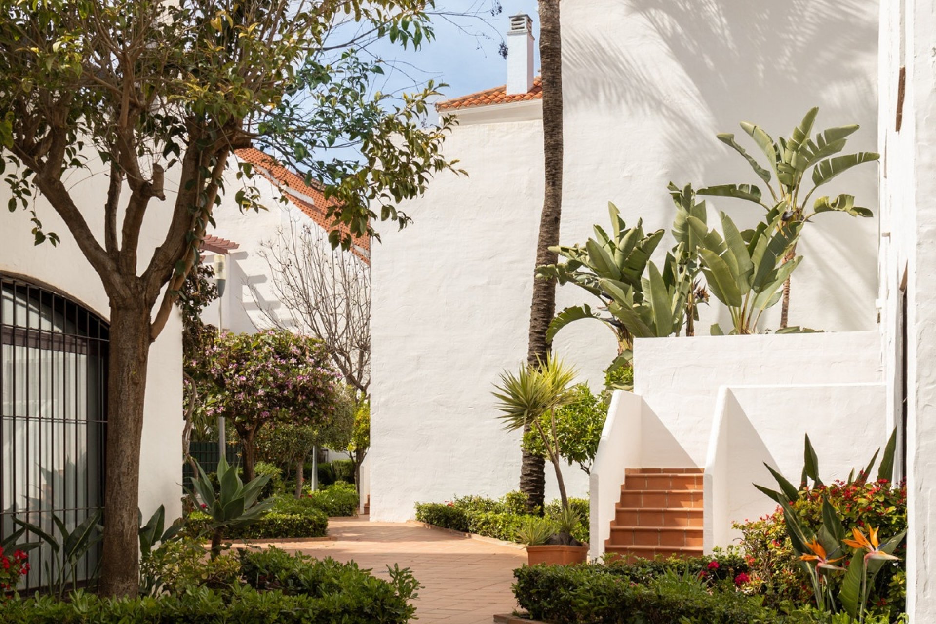 Resale - apartment - Marbella - Nueva Andalucía