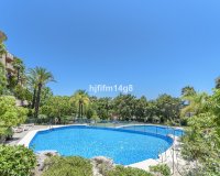Resale - apartment - Marbella - Nueva Andalucía