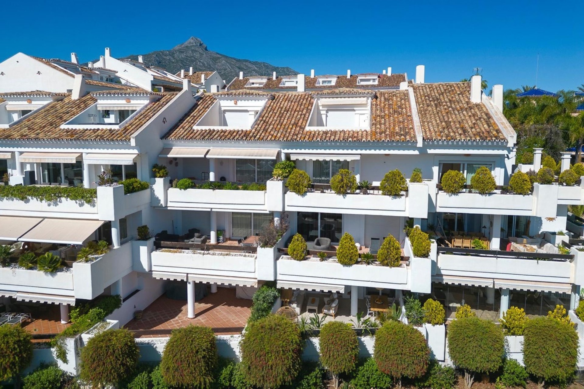 Resale - apartment - Marbella - Nueva Andalucía