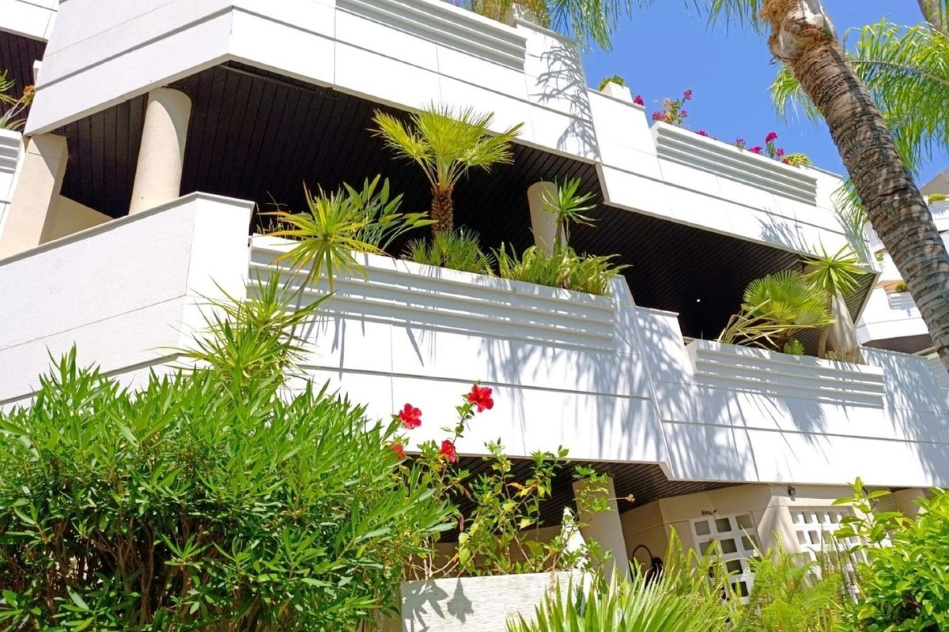 Resale - apartment - Marbella - Nueva Andalucía