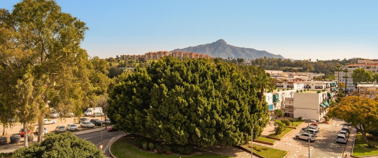 Resale - apartment - Marbella - Nueva Andalucía