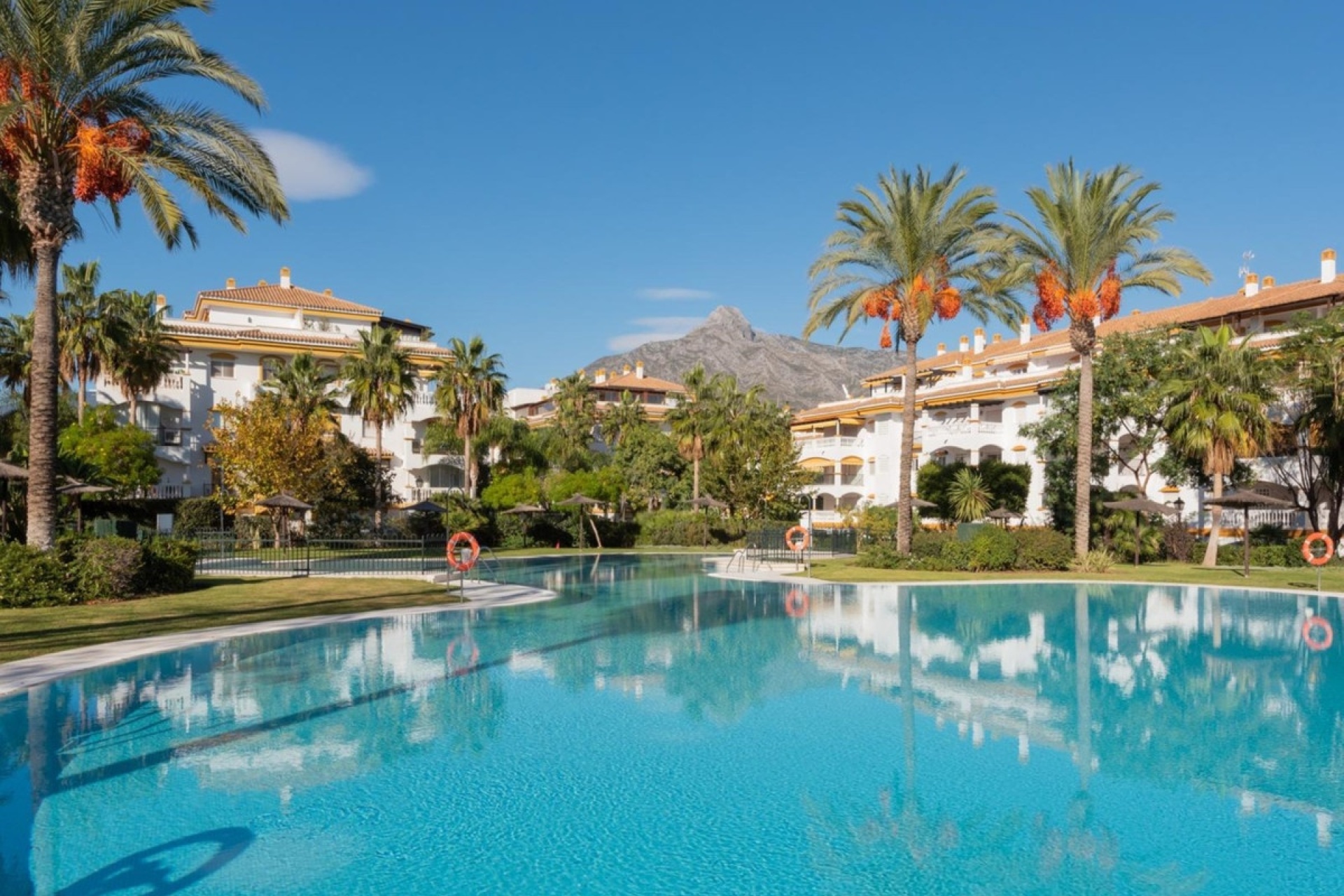 Resale - apartment - Marbella - Nueva Andalucía