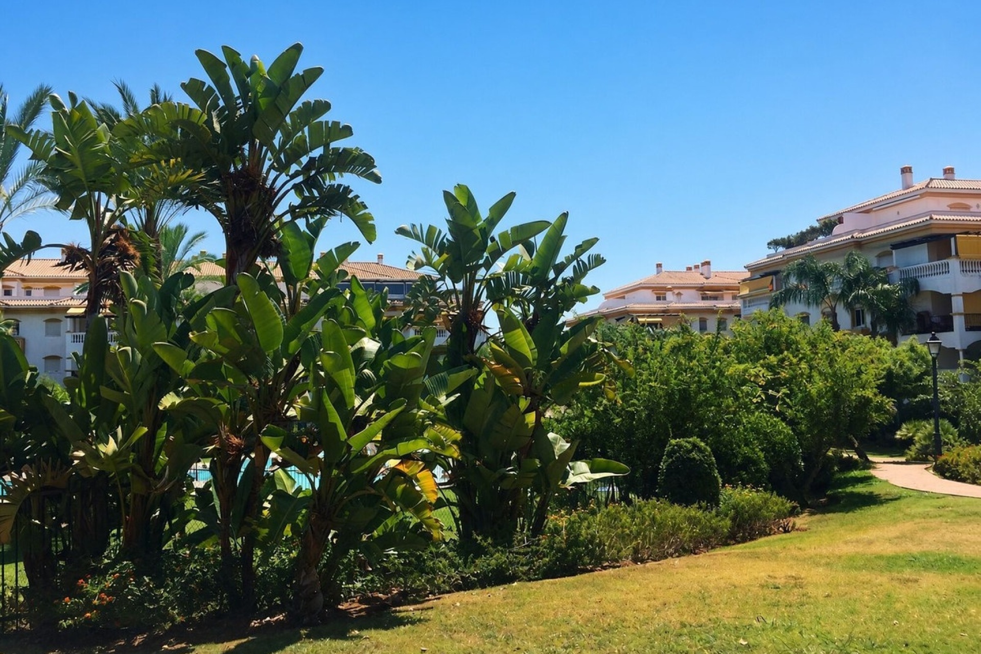Resale - apartment - Marbella - Nueva Andalucía