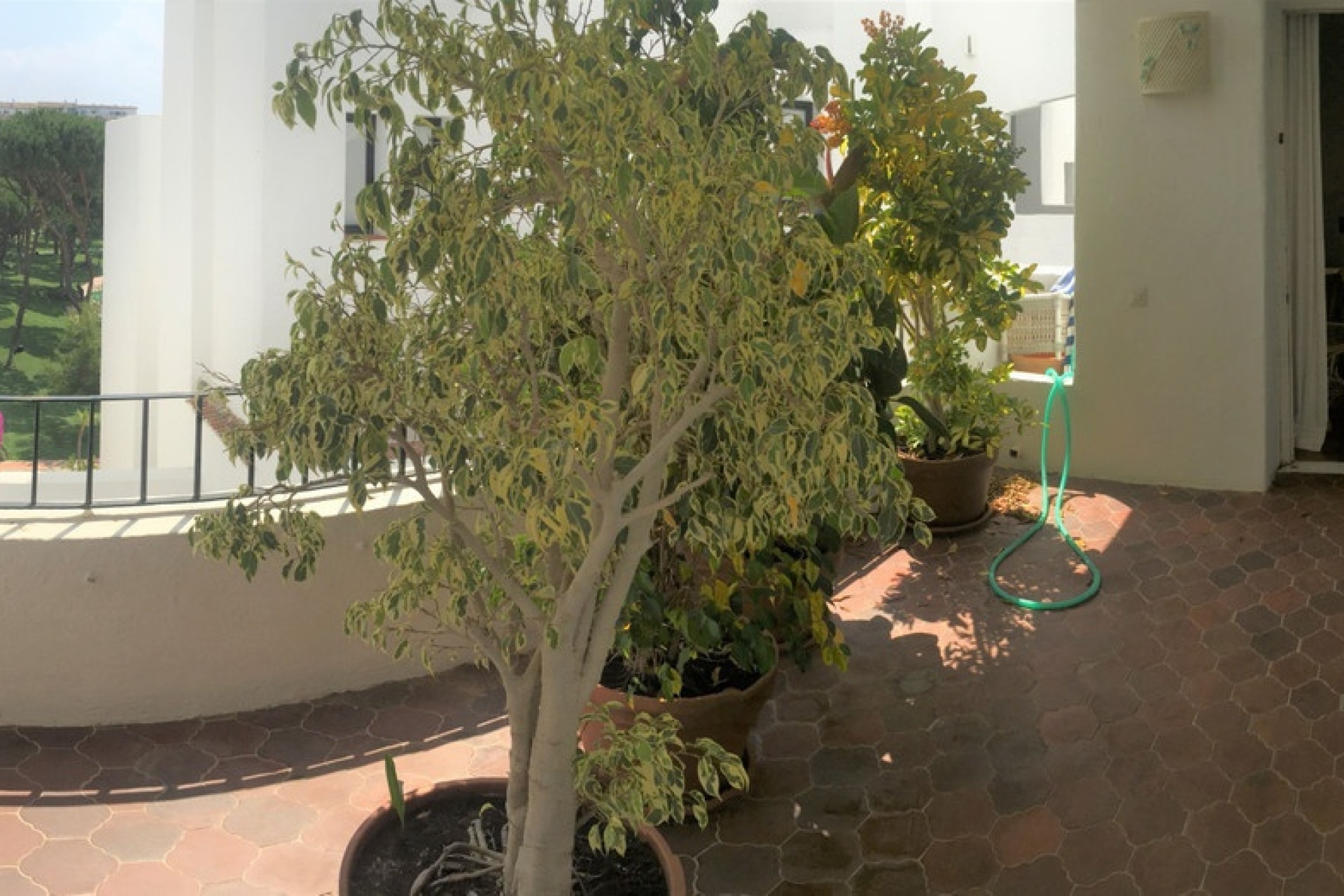Resale - apartment - Marbella - Puerto Banús
