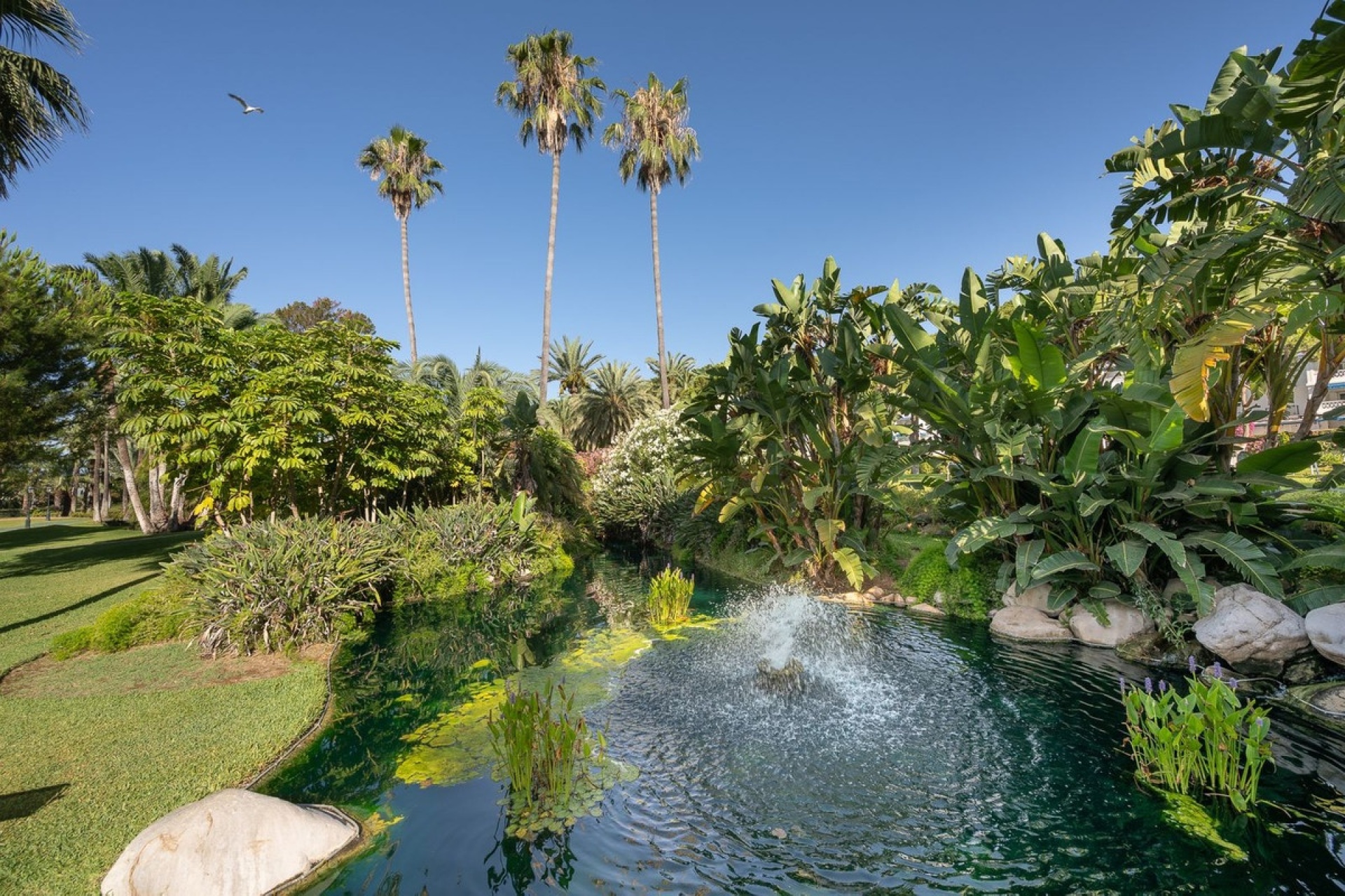 Resale - apartment - Marbella - Puerto Banús