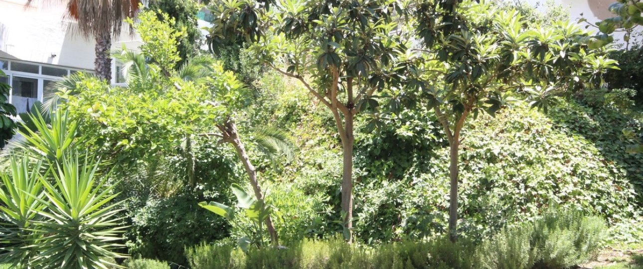 Resale - apartment - Marbella - Reserva de Marbella