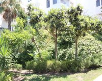 Resale - apartment - Marbella - Reserva de Marbella