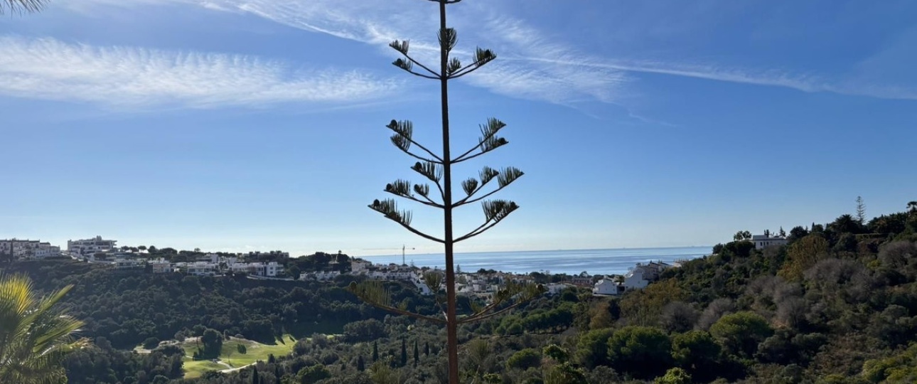 Resale - apartment - Marbella - Reserva de Marbella