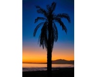 Resale - apartment - Marbella - Reserva de Marbella