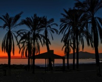 Resale - apartment - Marbella - Reserva de Marbella