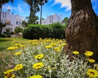 Resale - apartment - Marbella - Reserva de Marbella
